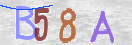 Code Anti-spam